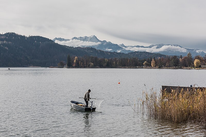 File:Pörtschach Edelweiss-Bad Wörther See mit Fischer 13112016 5388.jpg