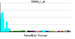 PBB GE WAS 38964 r at tn.png