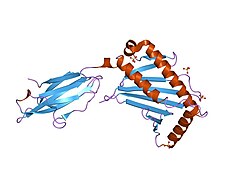 PDB 1je6 EBI.jpg