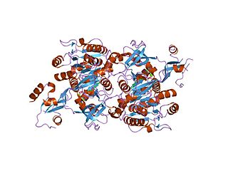 <span class="mw-page-title-main">Long-chain-fatty-acid—CoA ligase</span> Class of enzymes