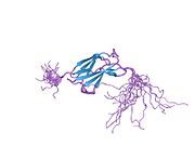 PDB 1x5f EBI.jpg