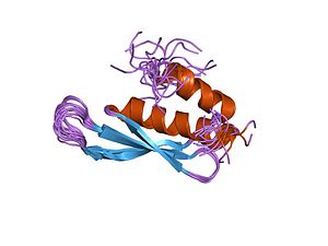 Rna-Binding Protein