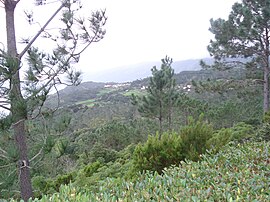 Das Dorf Prainha de Cima, vom Erholungswaldreservat Prainha aus gesehen, entlang der Nordküste von Pico