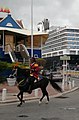 Paardenparade carnaval Curaçao 4.jpg