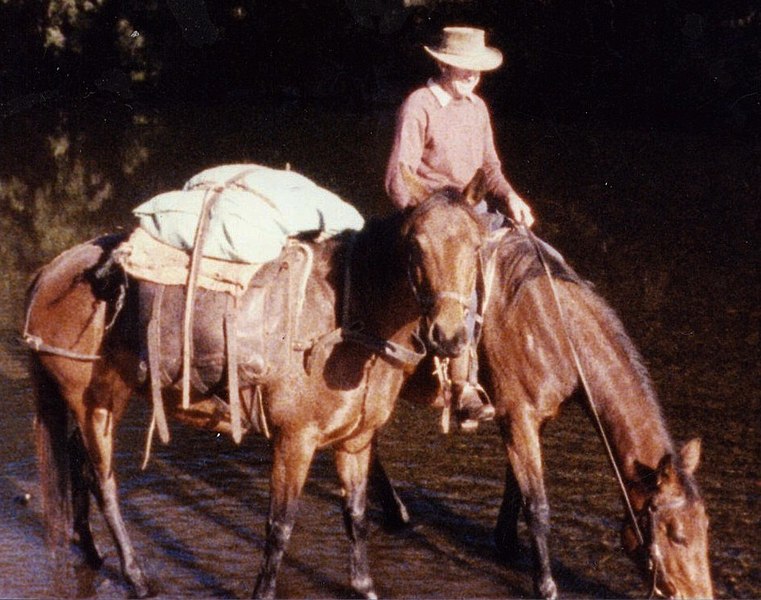 File:Pack Horse 2.jpg