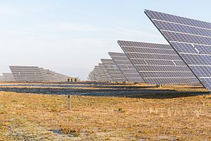 Paneles fotovoltaicos