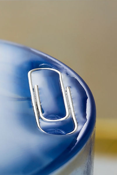 File:Paper Clip Surface Tension 1.jpg