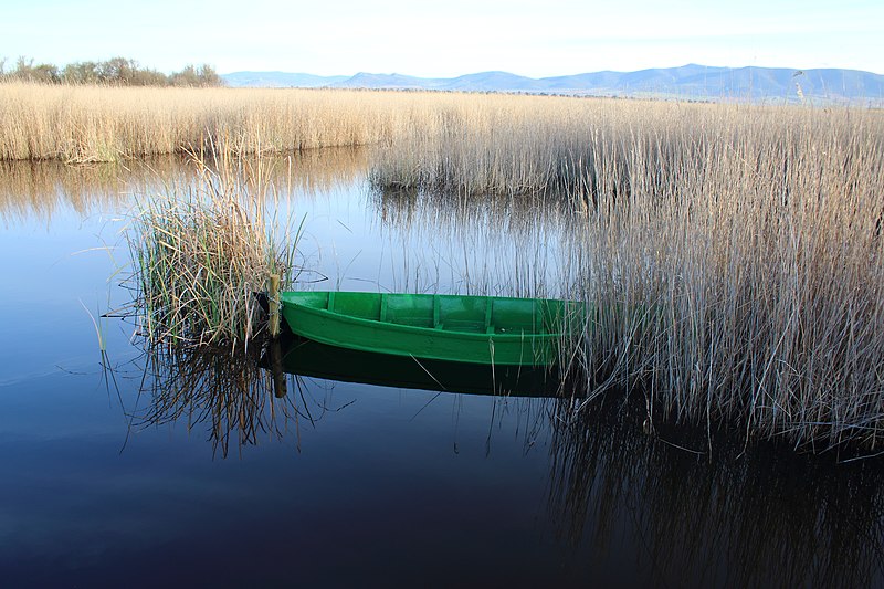 File:Parque nacional de las Tablas de Daimiel 33.jpg