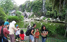 The Ragunan Zoo is a popular weekend destination for Jakarta families