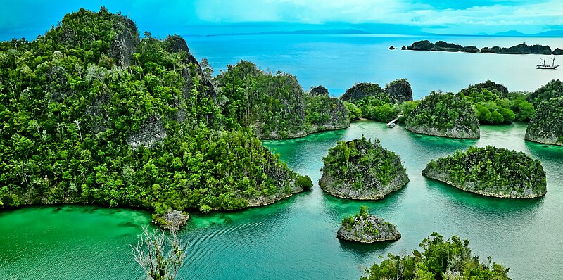 File:Pianemo-Raja Ampat.jpg