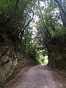 El camino entre Campagnano di Roma y La Storta.