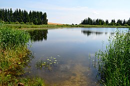 Pirčiukas nuo šiaurės vakarų kranto