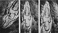 Plusieurs photos du poignard gravé (dont les traits ont été renforcés pour en améliorer la visibilité) trouvé sur une pierre dans la lande de Kermorvan en 1918.