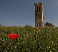 * Nomination spring in Beja Tunisia --IssamBarhoumi 14:55, 5 April 2017 (UTC) * Decline When taking a picture like this you should get at least one of the subjects sharp, unfortunately neither of both is. --Basotxerri 15:17, 5 April 2017 (UTC)