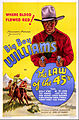 Poster of the movie The Law of 45's.jpg