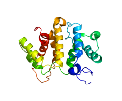 Белок ARHGAP5 PDB 2EE4.png