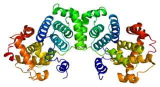 <span class="mw-page-title-main">Cyclin B1</span>