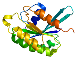 Белок RAB6B PDB 1yzq.png