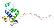 Thumbnail for Werner syndrome helicase