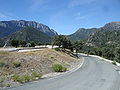 Los Acebuches (Grazalema, Spain)