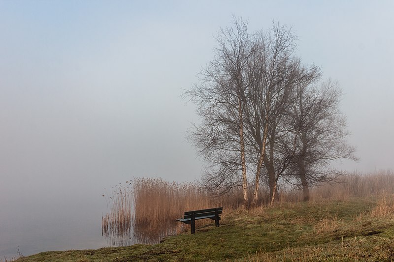 File:Put van Nederhorst in de mist. 28-02-2021. (d.j.b) 29.jpg