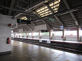 <span class="mw-page-title-main">R. Papa station</span> Train station in Manila, Philippines