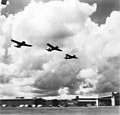 21 Sqn. RAAF Buffaloes in 1941