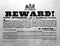 Thumbnail for File:Reward poster Cash Jones Kavenagh Jan 1843.jpg