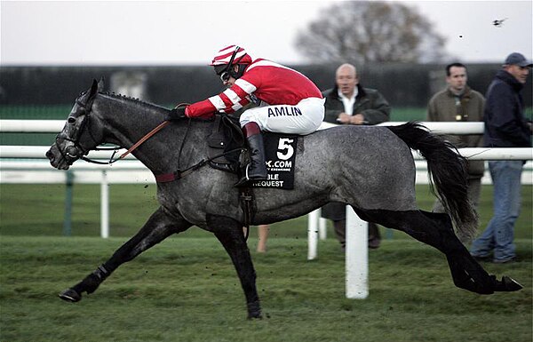 Richard Johnson on Noble Request at the 2006 Fighting Fifth Hurdle