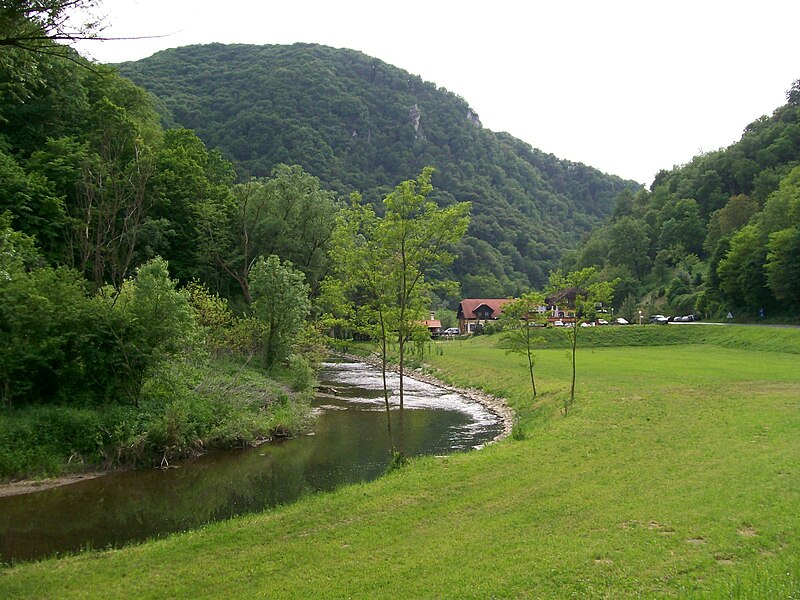 File:Rijeka Sutla Zelenjak.jpg