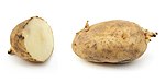 Russet potato