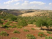 A farm in the mountains of Ajloun