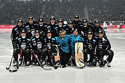 Sandvikens AIK Bandy.jpg