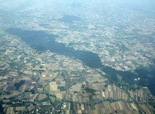 Schaumburg Forest forest