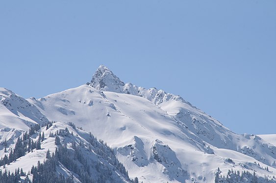 Schwarzhorn 2460m