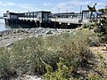 Pioneer Square Habitat Beach