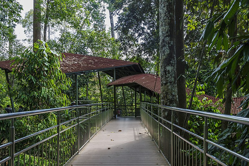 File:Sepilok Sabah Bornean-Sun-Bear-Conservation-Centre-07.jpg