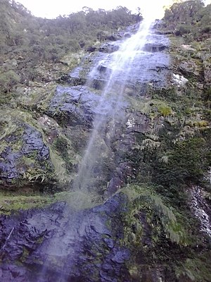 Rio dos Sinos