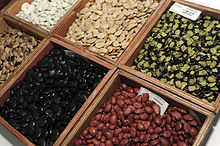 Six bean varieties at a gene bank Six bean varieties at a gene bank.jpg