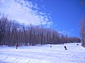 Skiing - panoramio.jpg