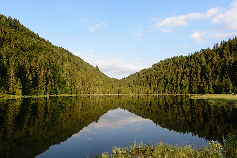 File:Spechtensee gegen Westen 01.JPG