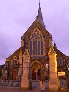 <span class="mw-page-title-main">St. Aidan's Cathedral</span> Church in Co. Wexford, Ireland