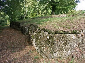 St Lézer (Hautes-Pyrénées) enceinte gallo-romaine.JPG