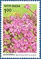 Stamp of India - 1985 - Colnect 167193 - Bougainvillea - H B Singh.jpeg