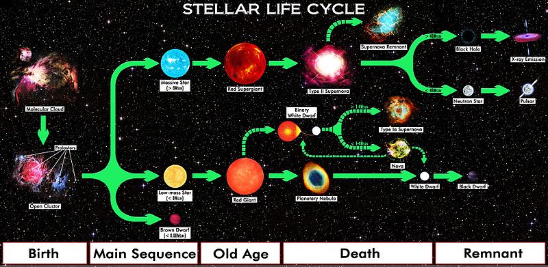 Diagram of stellar evolution, showing the various stages of stars with different masses