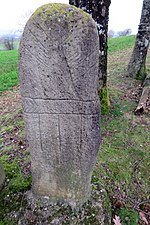 Vignette pour Statue-menhir de la Coste