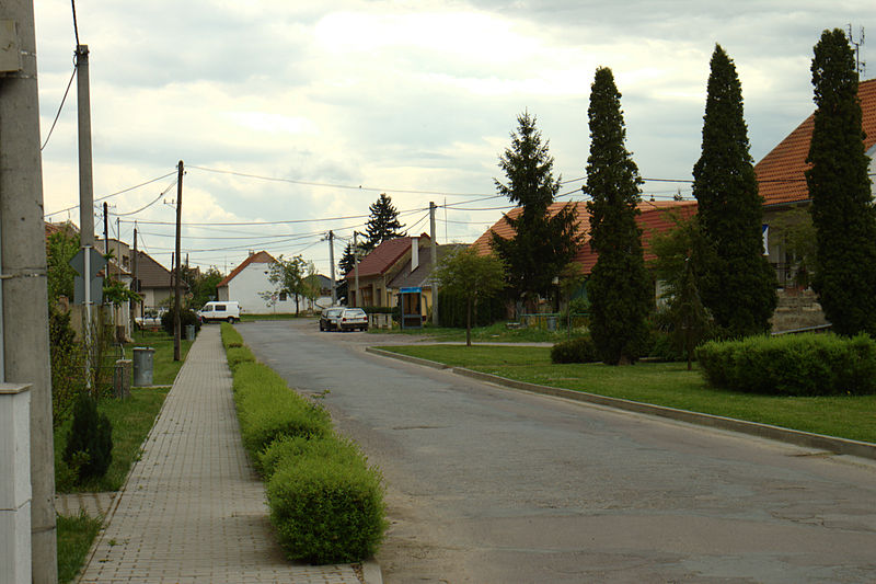 Dosiero:Stošíkovice na Louce, alej.jpg