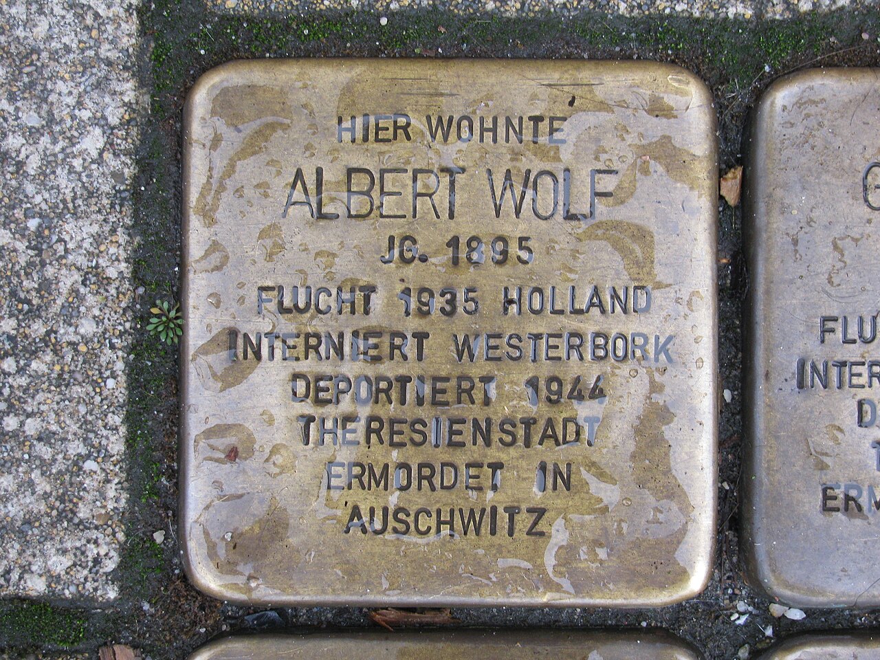 Stolperstein Albert Wolf, 1, Werner-Senger-Straße 19, Limburg an der Lahn, Landkreis Limburg-Weilburg.jpg