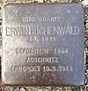 Stolperstein Horstmar Königstraße 8 Erwin Eichenwald