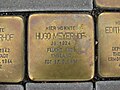 Stumbling block Hugo Meyerhof, 1, Zingel 18, Hildesheim, Hildesheim district.jpg